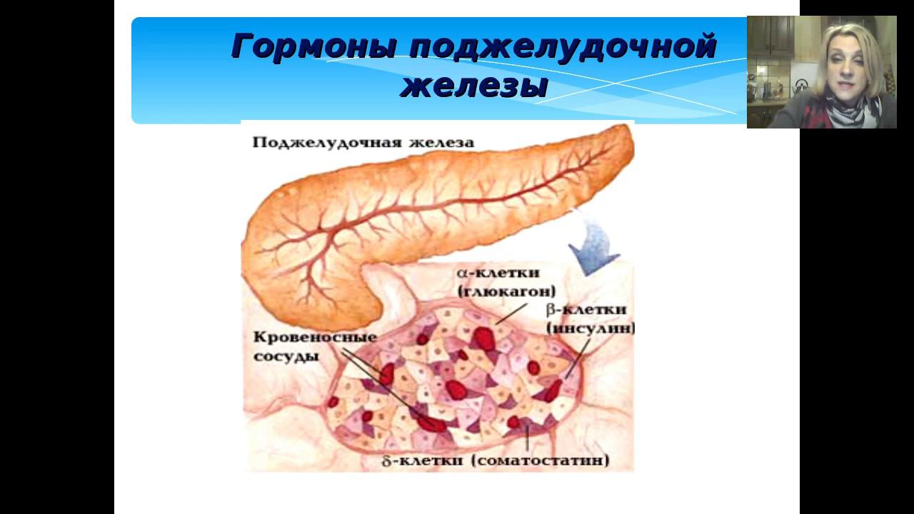 О самом главном  Как долго оставаться молодой и здоровой. Анна Горбачева. Wellness
