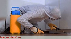 дезинфекция квартиры от клопов в Москве цена