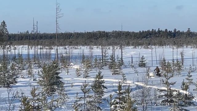 Российские снегоходы.