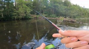 Лесная форель и хариус на ультралайт!