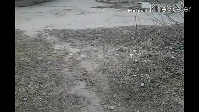 Вторжение Пришельцев Часть (2)