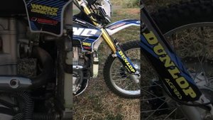 Булл р8 пол года жёсткой эксплуатации ЧТО С НИМ СТАЛО