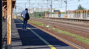 Сапсан пролетел Молжаниново