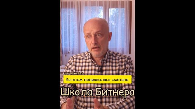 Бессмыслица грамматической основы смотреть онлайн