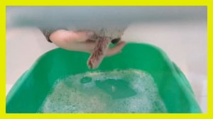 Как правильно мыть Басика?! Он хочет записаться в секцию по плаванью?!