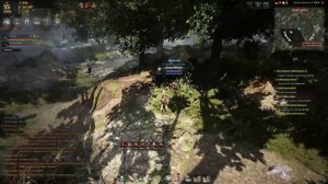 Black Desert: 2 спота для сбора диких трав