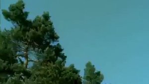 Океан Эльзы - зелены очи
