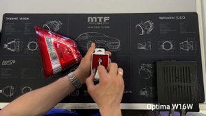 Лампы W16W для заднего хода. Optima, Dixel, стандартная лампа.