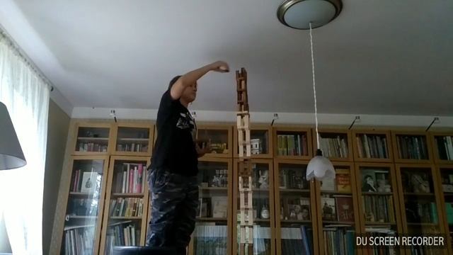 Самая высокая башня из дженги.