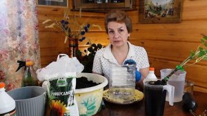 А У ВАС ЕСТЬ СЕВЕРНОЕ КИВИ? | Посадка многолетней лианы Актинидии