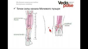 Канал Мочевого пузыря, диагностика и методы воздействия