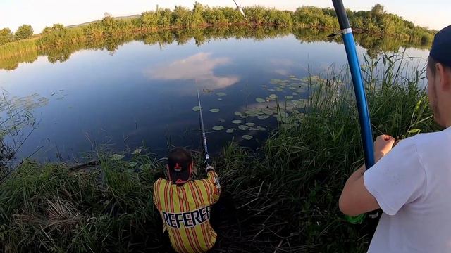 Рыбалка на озере. Попался бобёр на удочку, червя и поплавок смотреть онлайн