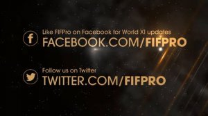 FIFA FIFPro World XI 2013: Patrick Owomoyela