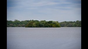 One lens for everything?? 24-200mm Z lens Review