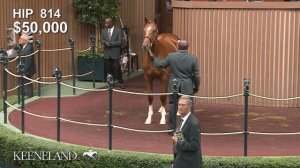 2018 Keeneland September Yearling Sale: Hip 814