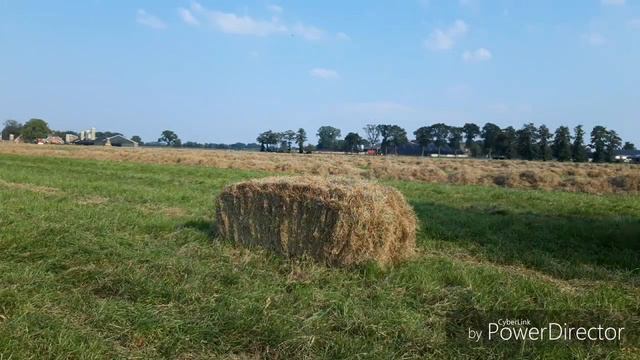 Hooi persen-Fendt 307c + Meijer-John Deere 6110 + Kemper-Fendt 511c + Hibiscus смотреть онлайн