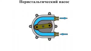 Перистальтический (шланговый) насос: принцип и устройство работы