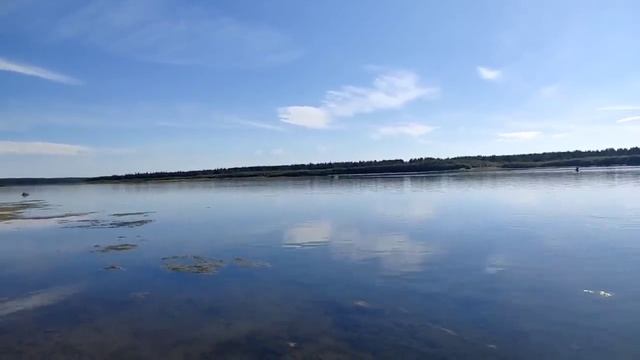 Колесниковы// Я нашла Леше работу! // А он уезжает... // Обзор видео и стримов// смотреть онлайн