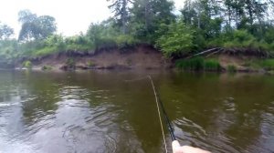 река Чепца, июньские зарисовки