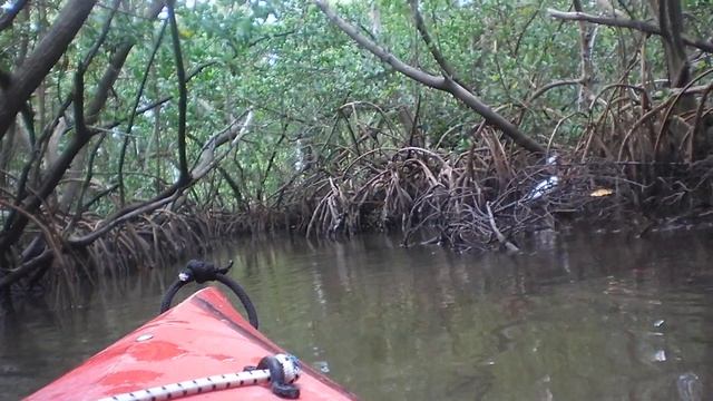 Sarasota kayak 5 смотреть онлайн