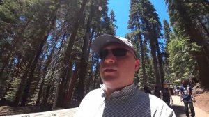 Национальный Парк Секвойя | Настоящая Калифорния | Путешествия по Америке