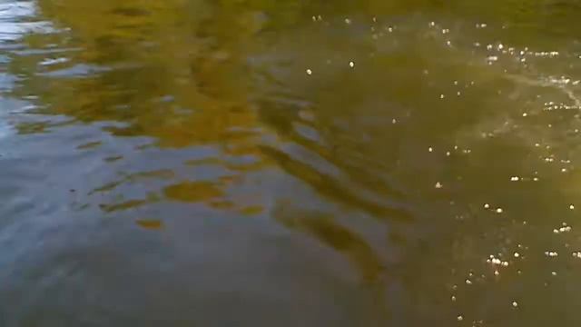 Голодный остров , розлив Волги смотреть онлайн