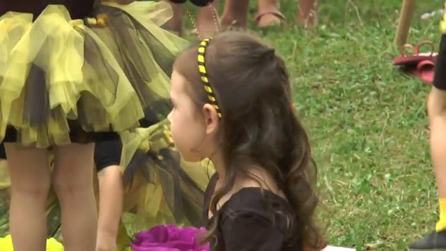 Иван Купало в Сочи 2015г. смотреть онлайн