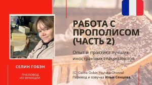 Работа с прополисом на промышленной пасеке Селин Гобэн (Франция)