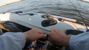 ЛОВЛЯ СУДАКА НА ДЖИГ. ЛУЧШИЕ ПРИМАНКИ ДЛЯ ЛОВЛИ СУДАКА 2021. рыбалка на спиннинг