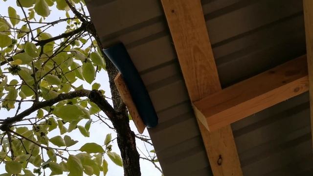 23. Сочи. Горное Лоо. Строим каркасную баню. +28°C. 12.06.2022г.© смотреть онлайн