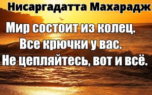 ОТБРОСЬТЕ СВОИ ПРИСТРАСТИЯ. БОЛЬШЕ НЕЧЕГО ОТБРАСЫВАТЬ. НИСАРГАДАТТА МАХАРАДЖ