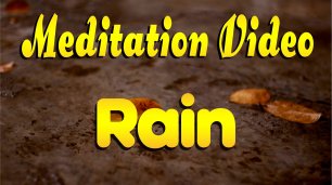 🙏 Meditation Video. Rain