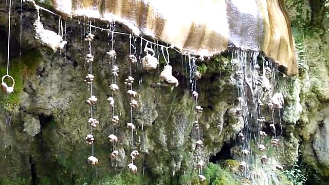 10 Most Bizarre Things Found In Nature