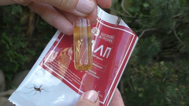 Делаем альпинарий на даче