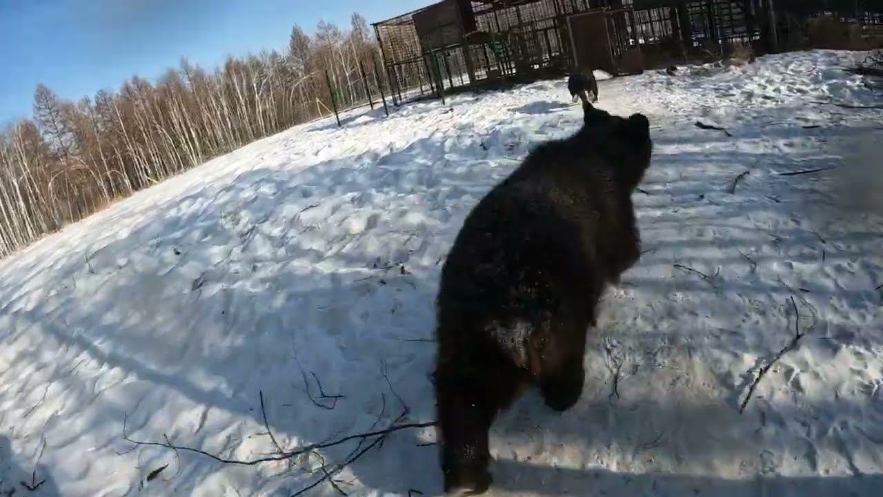 И на последок пробежка.