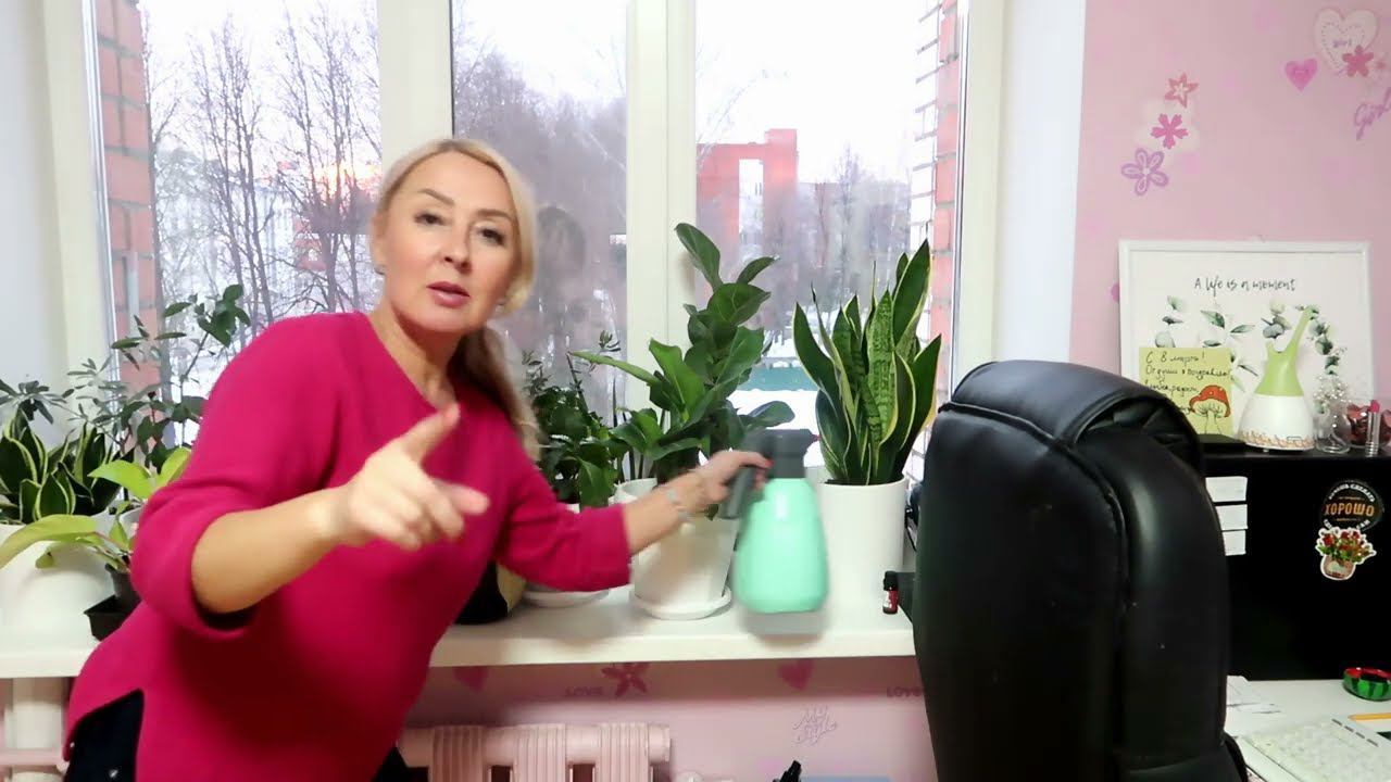 Распаковка ДИВАНЧИКА✦Витамины✦ Мои ЦВЕТЫ зимой ✦ ЗИМНИЙ ВЛОГ
