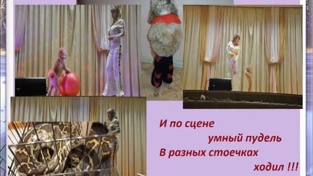 Цирк "Молодые сердца" Липецк