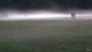 Природа  ( Беларусь )