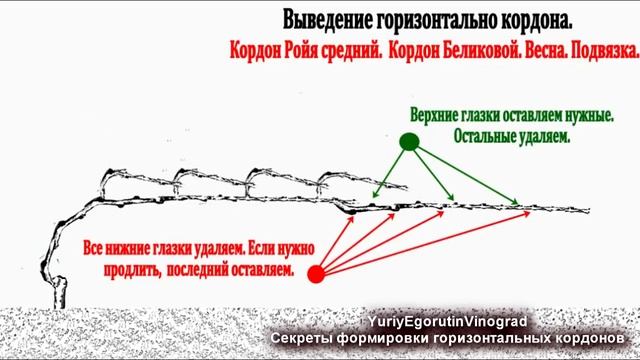 ? Узнай ЭТИ 10 секретов настоящего ГОРИЗОНТАЛЬНОГО КОРДОНА/Кордоны Беликовой, Ройя, Казенава, Меруз