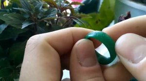 Единое кольцо из ювелирного воска