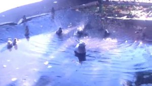 Один против толпы;)))