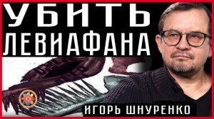 Убить Левиафана или об Украине ДНР и ЛНР Шнуренко Игорь.mp4