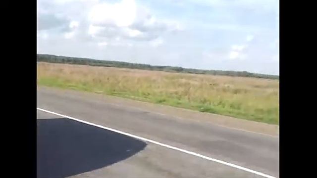 Где и как растёт Иван Чай