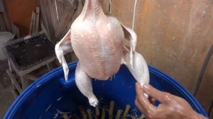 Перосъёмная машина самодельная 2 тушки