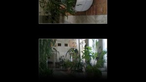 Санаторий Русь город Руза