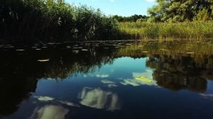 Владимир Бочаров Вдаль бежит река