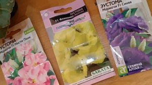 ЧЕРЕНКОВАНИЕ ЭУСТОМЫ . КАК РАЗМНОЖИТЬ ЭУСТОМУ?!