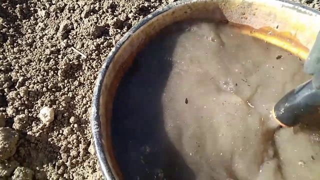 Для обильного урожая клубники вторичная подкормка весной. смотреть онлайн