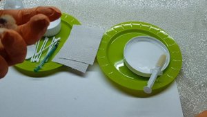 ОСМОТР И КОРМЛЕНИЕ ПТЕНЦОВ ПОПУГАЕВ МОНАХОВ КВАКЕРОВ.