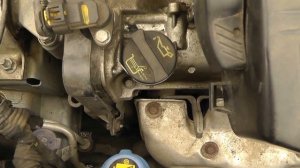 Стук двигателя Fiat Panda (после запуска-холодный)